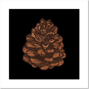 Pinecone Sketch Posters and Art